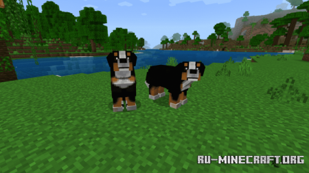 Скачать Dogs Plus для Minecraft PE 1.18