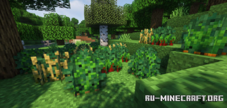 Скачать Wild Bushes для Minecraft 1.18.2