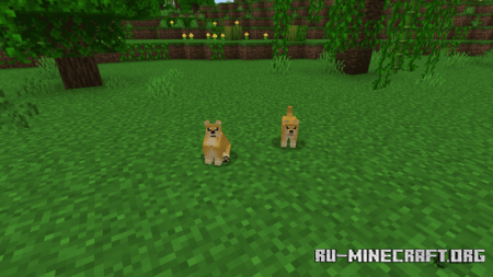 Скачать Dogs Plus - Improvements Update для Minecraft PE 1.19