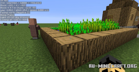 Скачать MiniHUD Mod для Minecraft 1.19.1