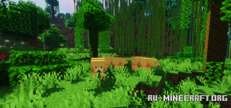 Скачать Ankimo Hololive для Minecraft 1.19