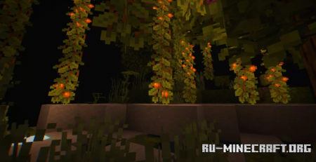 Скачать Find The Button Biomes 2 by ExtremeMcSquad для Minecraft
