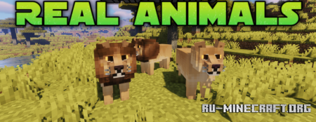 Скачать Real Animals Resource для Minecraft 1.19