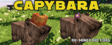 Скачать Capybara для Minecraft 1.19