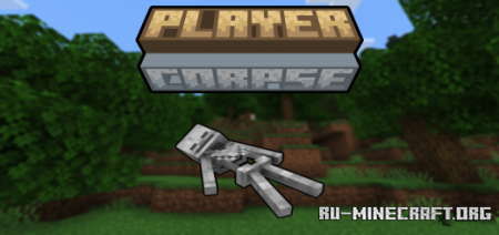 Скачать Player Corpse для Minecraft PE 1.19