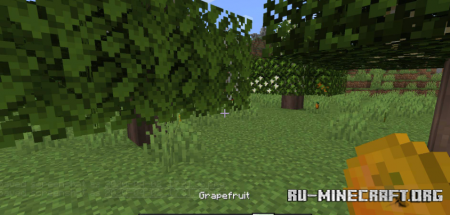Скачать Fruit Trees для Minecraft 1.19.2