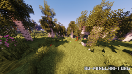 Скачать Best Birch Forest Terrain для Minecraft PE