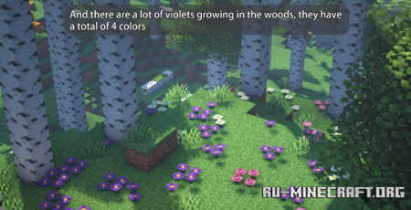 Скачать Wondrous Wilds для Minecraft 1.19.2