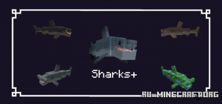 Скачать Sharks Plus для Minecraft PE 1.19