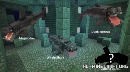 Скачать Sharks Plus для Minecraft PE 1.19