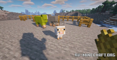 Скачать Carry the Nametag для Minecraft 1.19.2