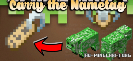 Скачать Carry the Nametag для Minecraft 1.19.2