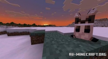 Скачать Красивые лисы для Minecraft PE 1.19