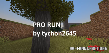 Скачать Pro Run by tychon2645 для Minecraft