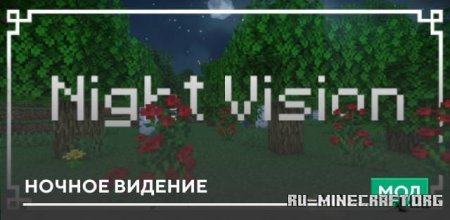Скачать Ночное видение для Minecraft PE 1.19