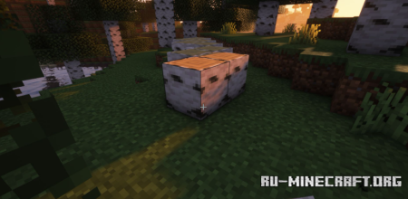 Скачать Precise Block Placing для Minecraft 1.19.3