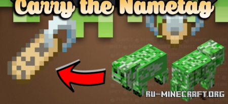 Скачать Carry the Nametag для Minecraft 1.19.4