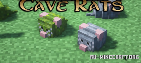  Cave Rats  Minecraft 1.19.2