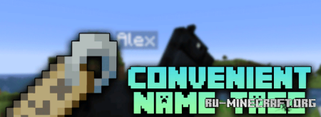 Скачать Convenient Name Tags для Minecraft 1.19.4