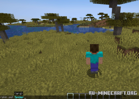 Скачать Edoren’s Skin Changer для Minecraft 1.20.1