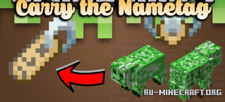 Скачать Carry the Nametag для Minecraft 1.20.1