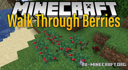 Скачать Walk Through Berries для Minecraft 1.20.1