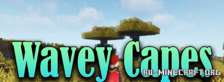 Скачать Wavey Capes для Minecraft 1.20.4