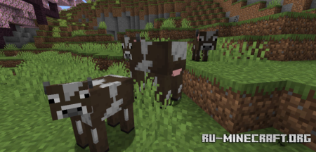  Random Mob Sizes  Minecraft 1.20.1