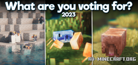 Скачать What Are You Voting For? 2023 для Minecraft 1.20.1