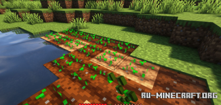  Experienced Crops  Minecraft 1.20.1