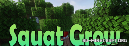  Squat Grow  Minecraft 1.20.1