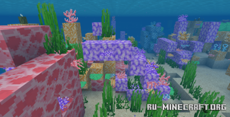  Tropical Coral  Minecraft 1.20