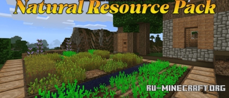  Natural Resource Pack  Minecraft 1.20