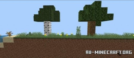    2D  Minecraft PE