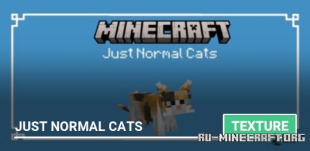  Just Normal Cats  Minecraft PE 1.19