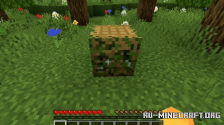     Minecraft PE 1.20