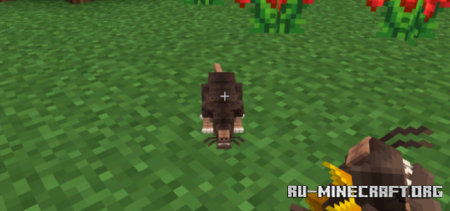     Minecraft PE 1.20