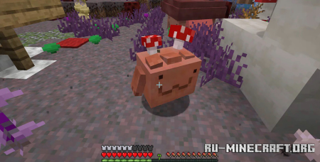  Mycelium Mire  Minecraft 1.19.2