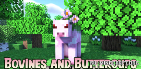 Скачать Bovines and Buttercups для Minecraft 1.20.4
