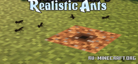  Realistic Ants  Minecraft 1.19.2