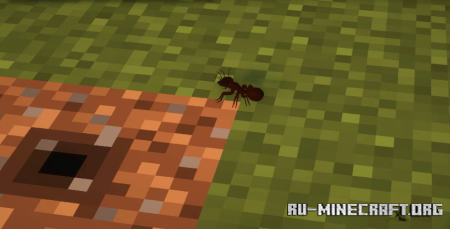  Realistic Ants  Minecraft 1.19.2