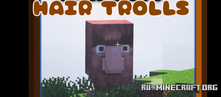  Hair Trolls  Minecraft 1.20.4