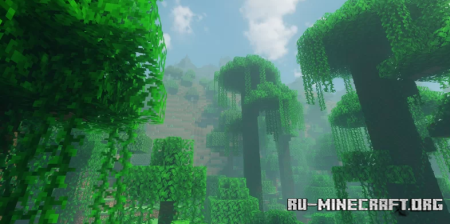  Jungle Seed by StaubSauger19  Minecraft