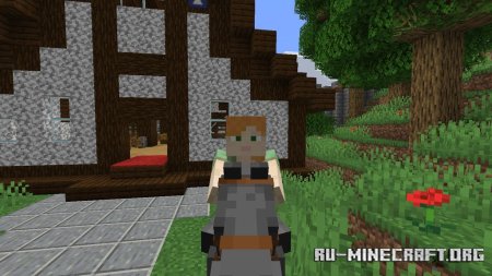  Not Enough Animations  Minecraft 1.20.5