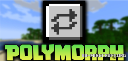  Polymorph  Minecraft 1.20.6