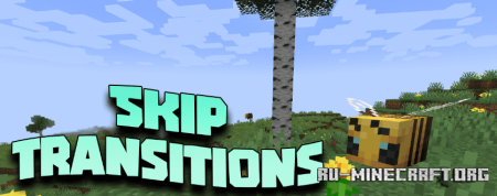  Skip Transitions  Minecraft 1.20.6