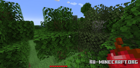  Hunger Remover  Minecraft 1.20.6