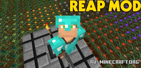  Reap Mod  Minecraft 1.21