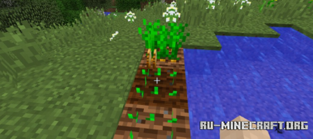  Reap Mod  Minecraft 1.21