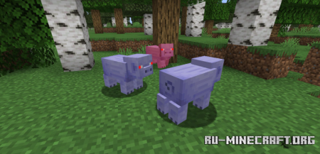  Spider Pig  Minecraft 1.21